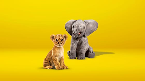 kleiner Löwe und kleiner Elefant sitzen auf gelbem Boden - Teilkasko ADAC