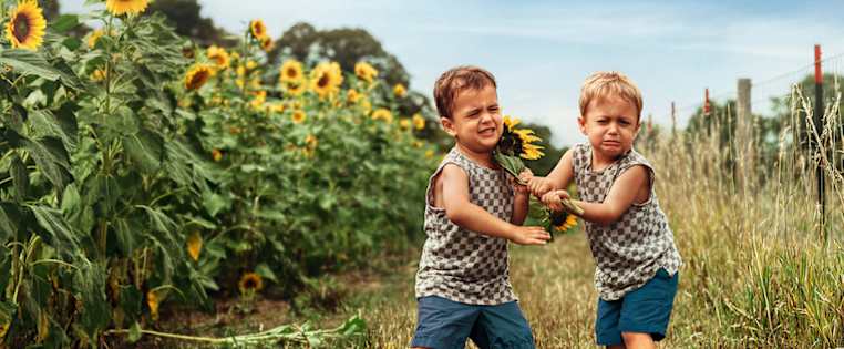 Zwei Jungen streiten sich vor einem Sonnenblumenfeld - Rechtsschutzversicherung ADAC