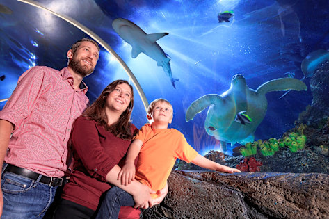 Familie vor einem Aquarium