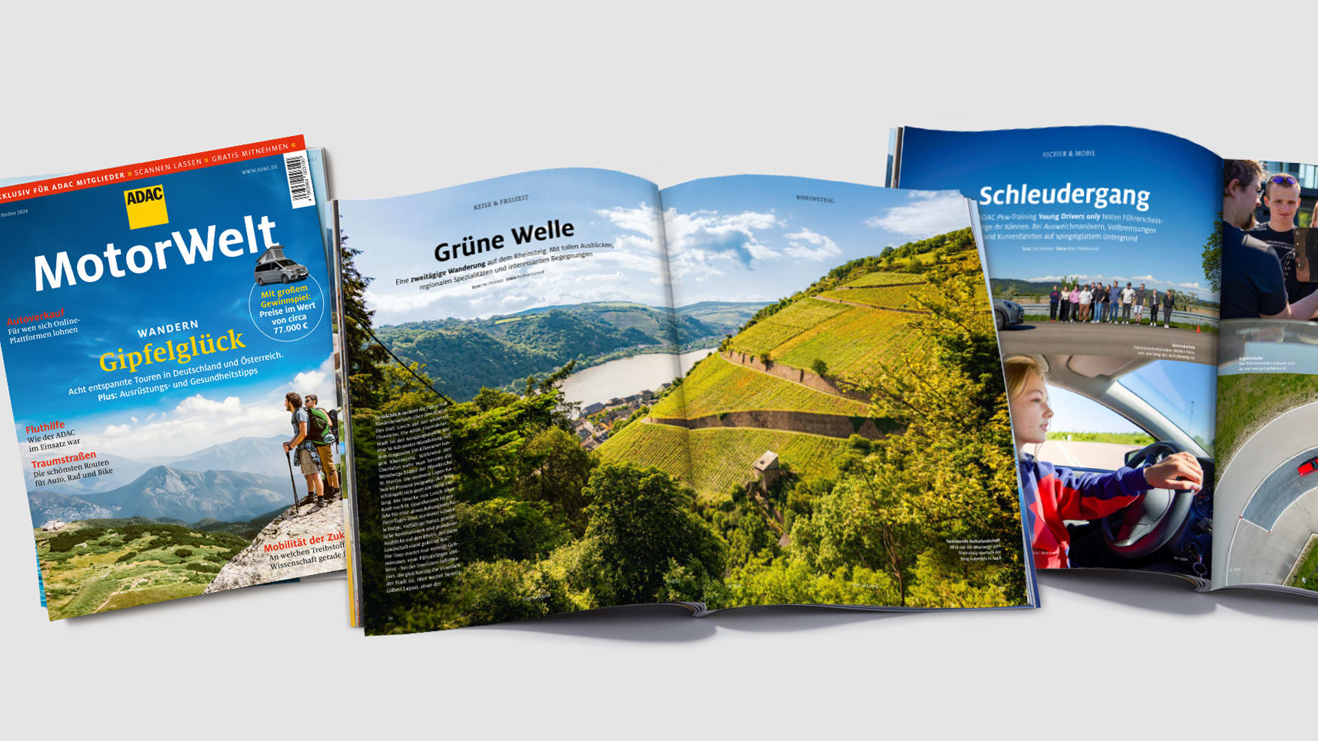 Blick in die Motorwelt Premium