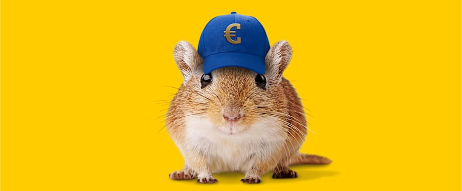 Maus mit Kappe und Eurozeichen - Autoversicherung ADAC