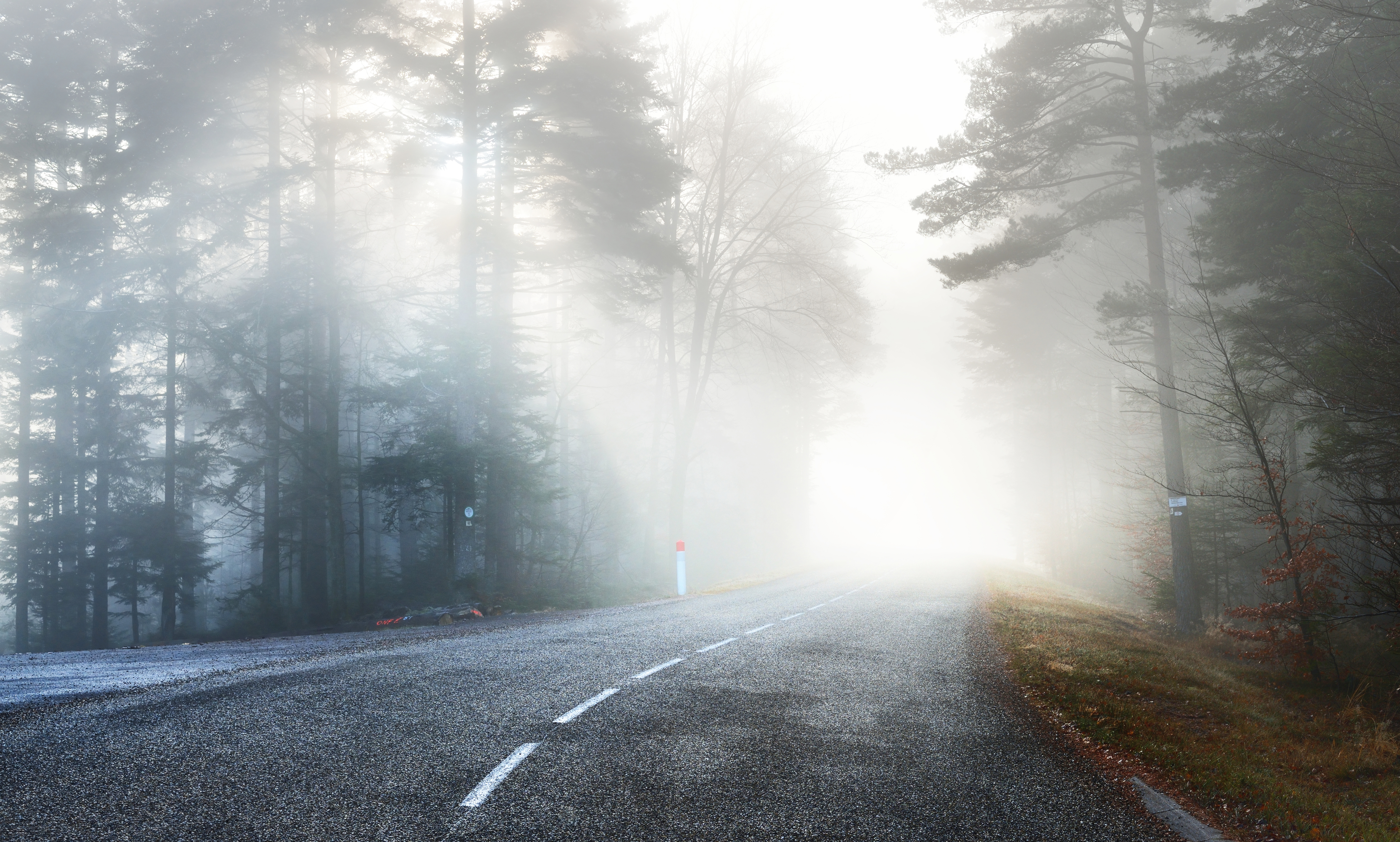 Plötzlicher Nebel und schlechte Sicht