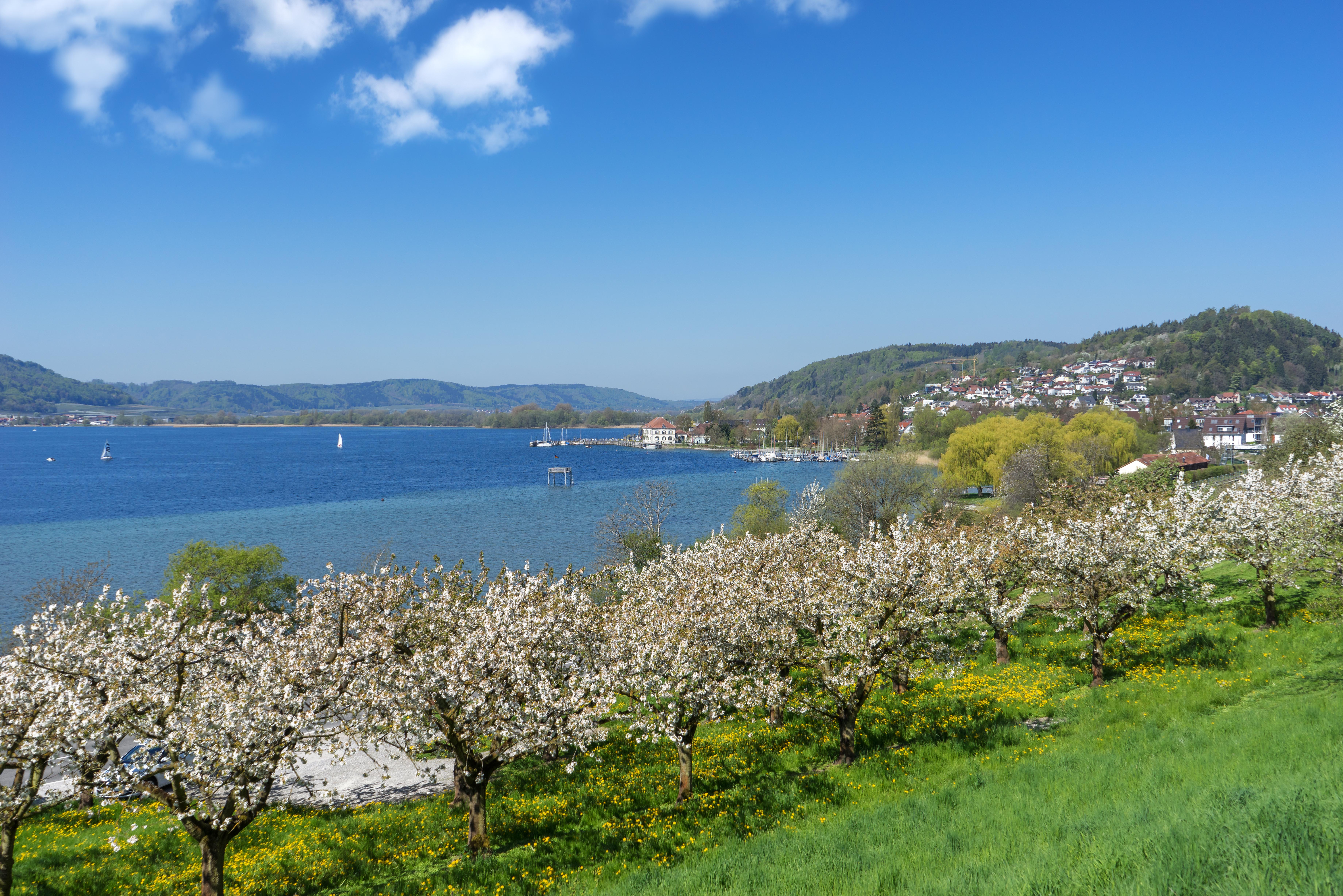 Ausflugsziele Am Bodensee Im Fruhling Adac