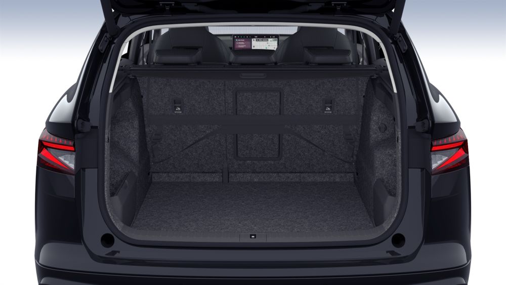TRUNK